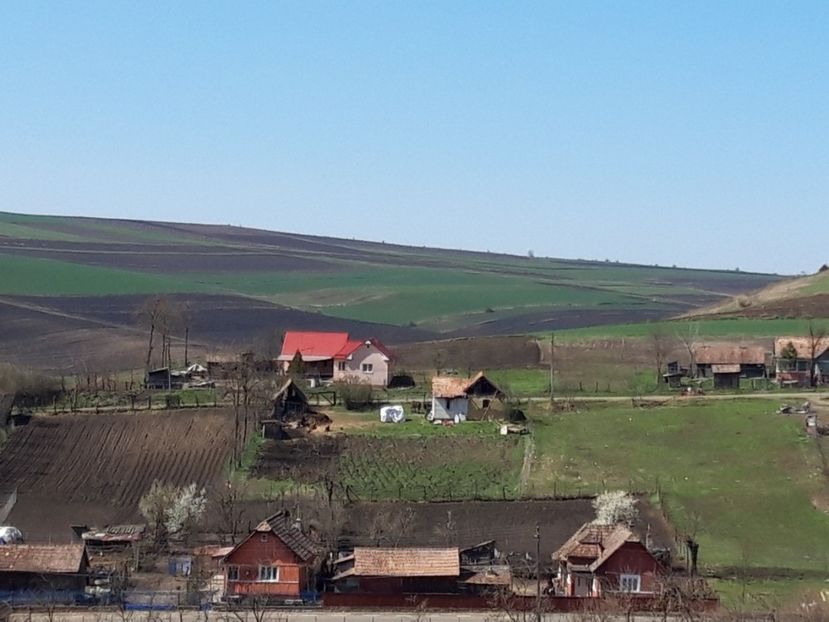  - Satu Nou