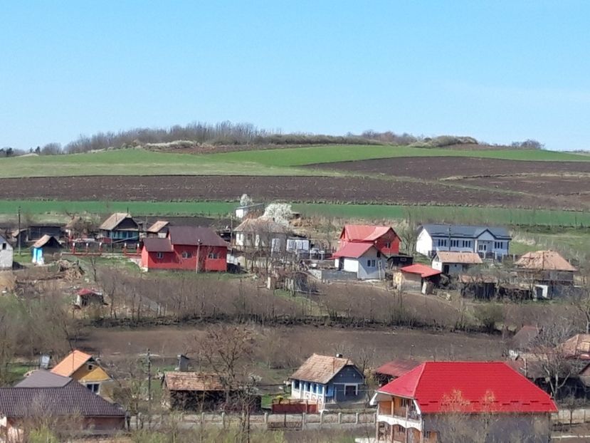  - Satu Nou