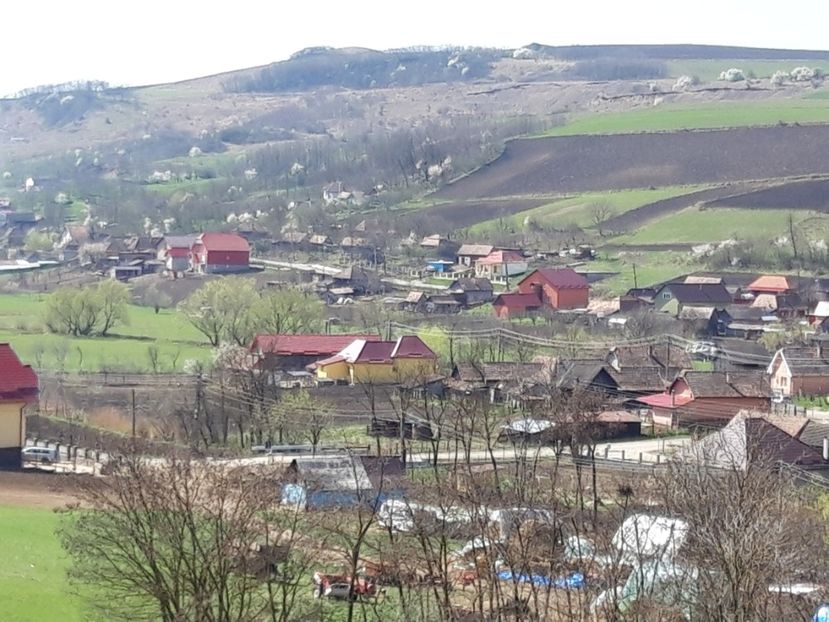  - Satu Nou