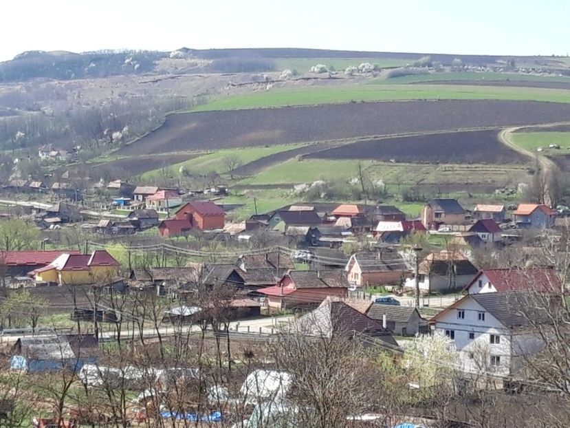  - Satu Nou