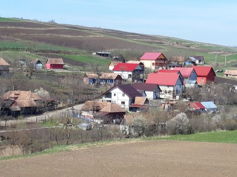  - Satu Nou