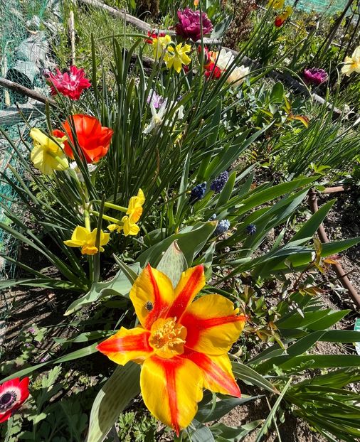 C96208EE-2E94-432B-B614-DC6BFB3C3C96 - Narcise 2019 2022 25