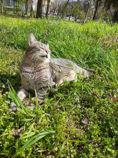  - Marius cu prietenii