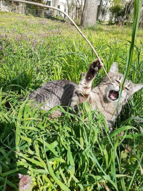  - Marius cu prietenii