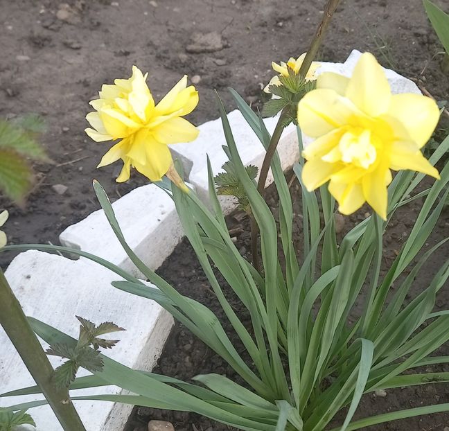  - Sub tutela soarelui