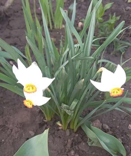  - Sub tutela soarelui