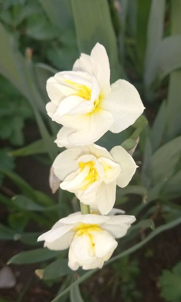  - Sub tutela soarelui