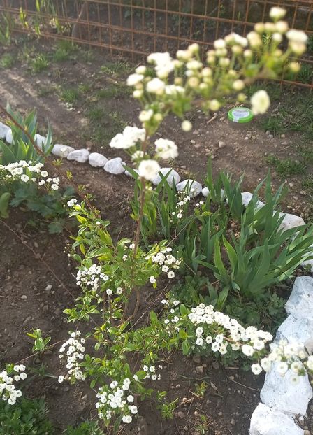  - Sub tutela soarelui