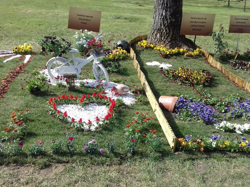  - Căutând bucuria la pas