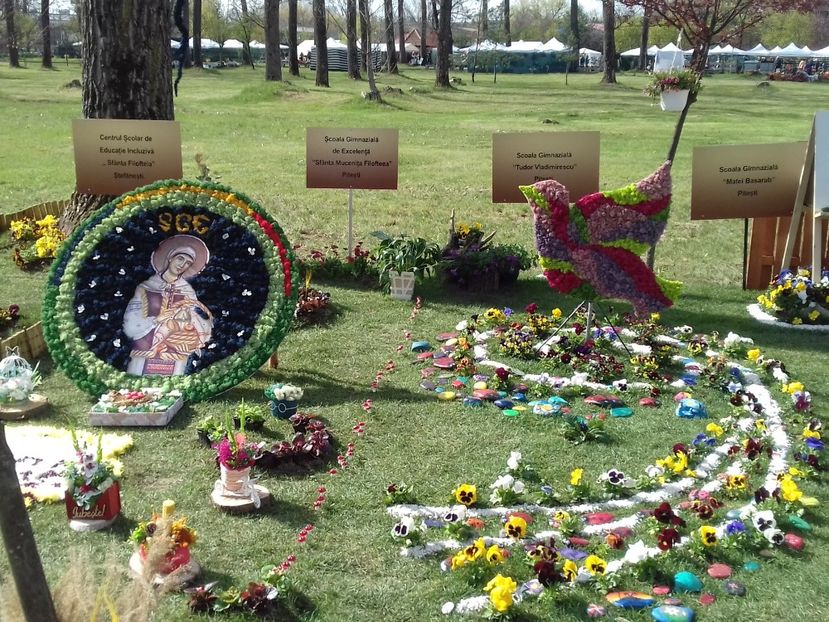  - Căutând bucuria la pas