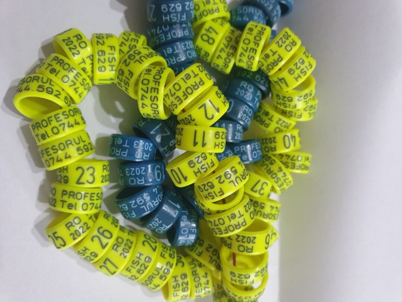  - 1-A-INELE PERSONALIZATE 2022