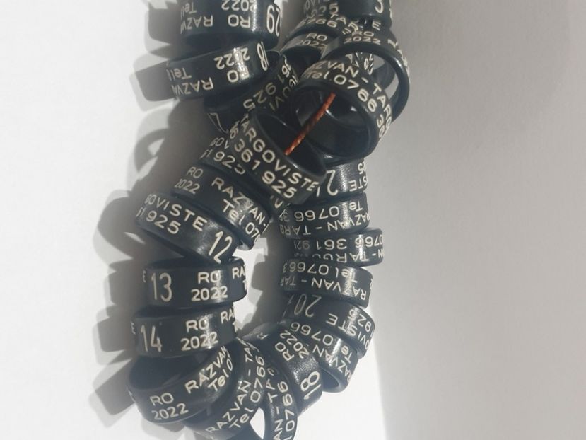  - 1-A-INELE PERSONALIZATE 2022