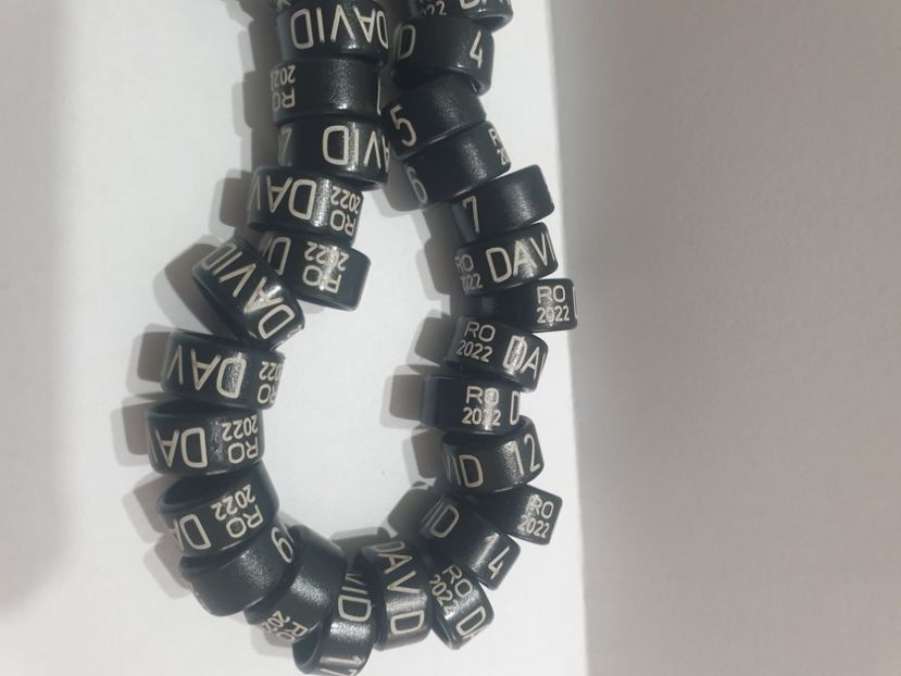  - 1-A-INELE PERSONALIZATE 2022