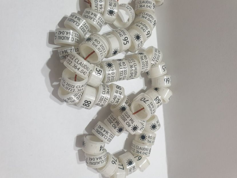  - 1-A-INELE PERSONALIZATE 2022