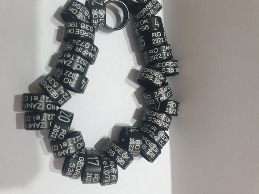  - 1-A-INELE PERSONALIZATE 2022