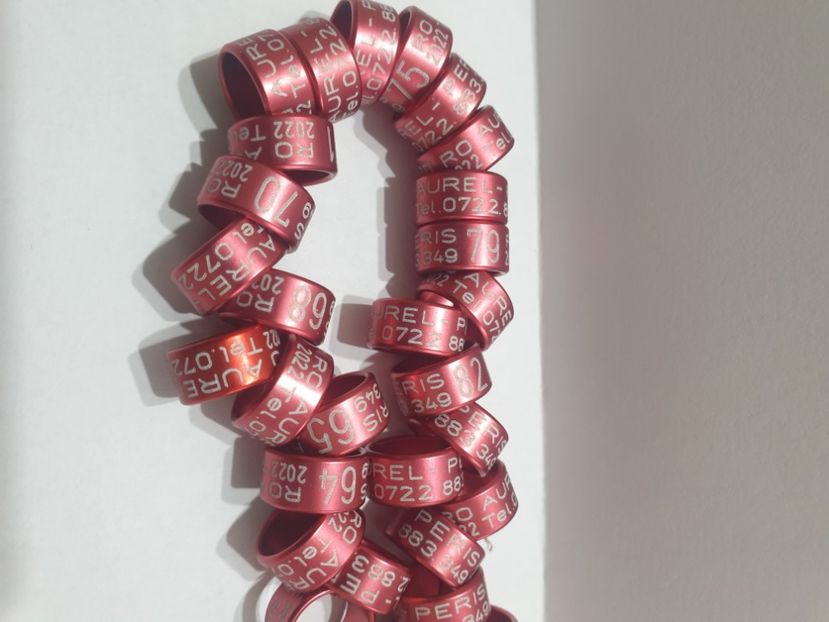  - 1-A-INELE PERSONALIZATE 2022