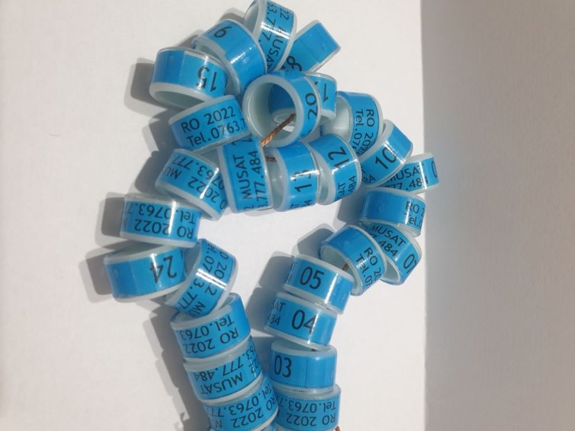  - 1-A-INELE PERSONALIZATE 2022