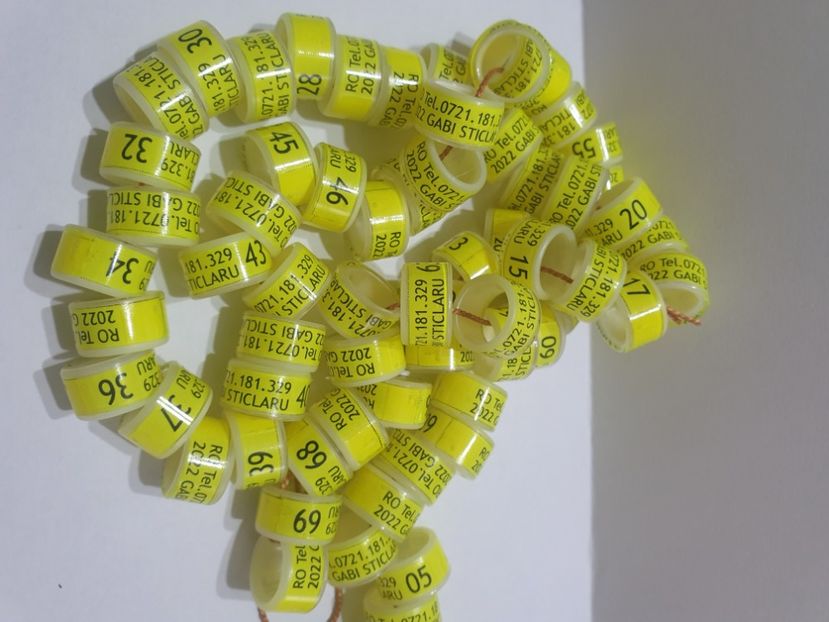  - 1-A-INELE PERSONALIZATE 2022