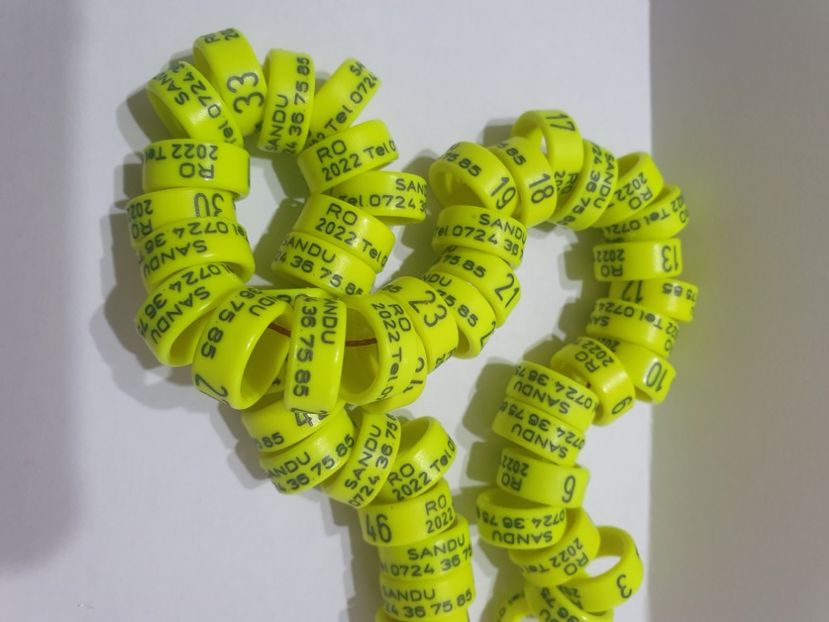  - 1-A-INELE PERSONALIZATE 2022