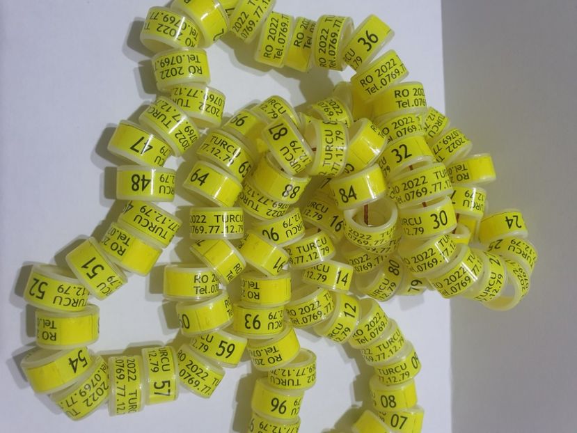  - 1-A-INELE PERSONALIZATE 2022