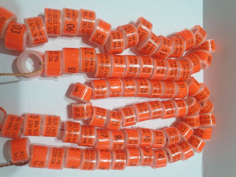  - 1-A-INELE PERSONALIZATE 2022