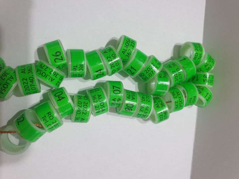  - 1-A-INELE PERSONALIZATE 2022