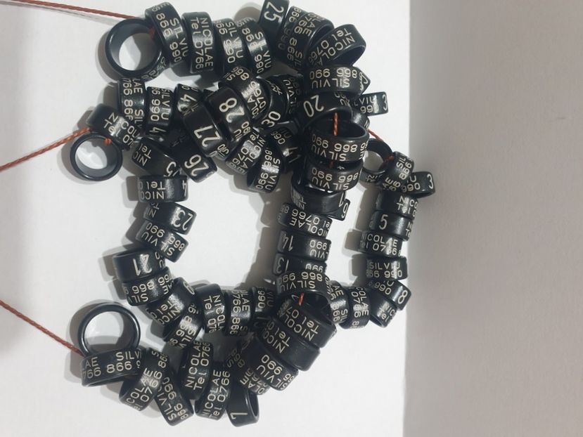  - 1-A-INELE PERSONALIZATE 2022