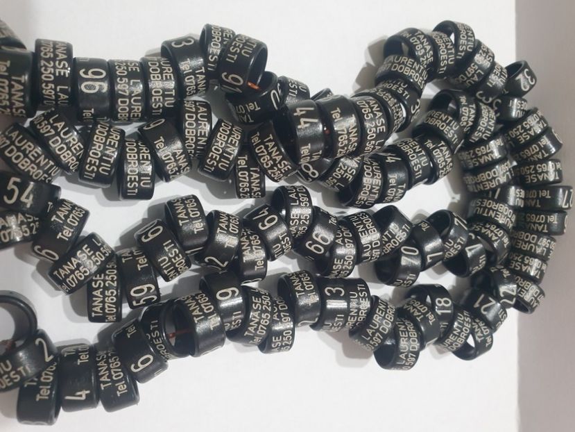  - 1-A-INELE PERSONALIZATE 2022