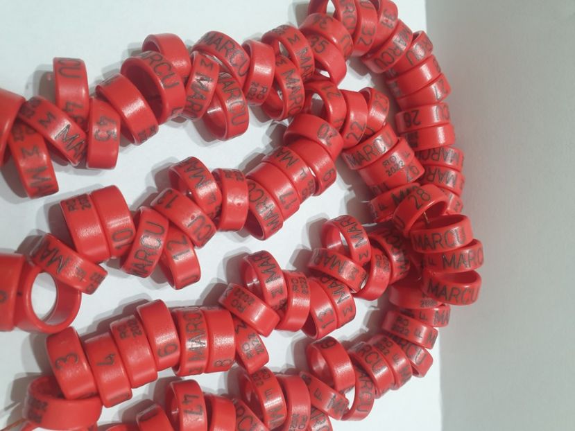  - 1-A-INELE PERSONALIZATE 2022