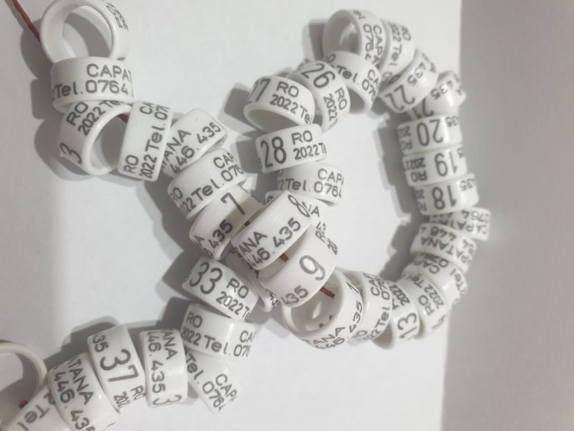  - 1-A-INELE PERSONALIZATE 2022