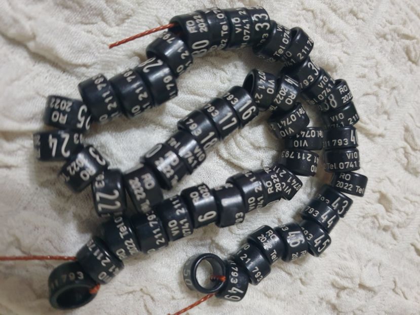  - 1-A-INELE PERSONALIZATE 2022