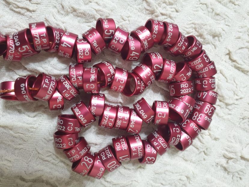  - 1-A-INELE PERSONALIZATE 2022