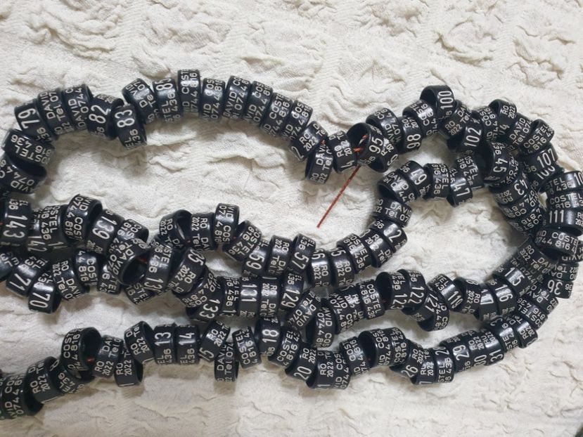  - 1-A-INELE PERSONALIZATE 2022