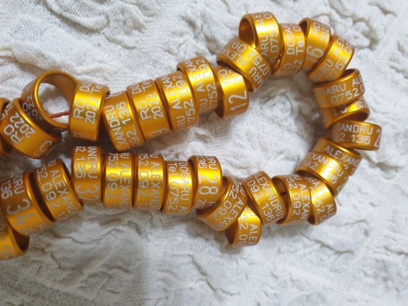  - 1-A-INELE PERSONALIZATE 2022