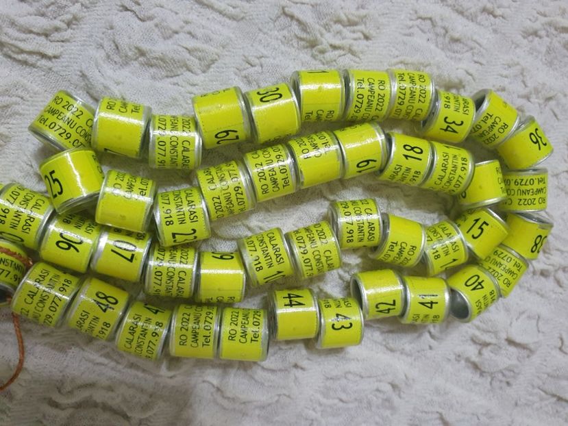  - 1-A-INELE PERSONALIZATE 2022