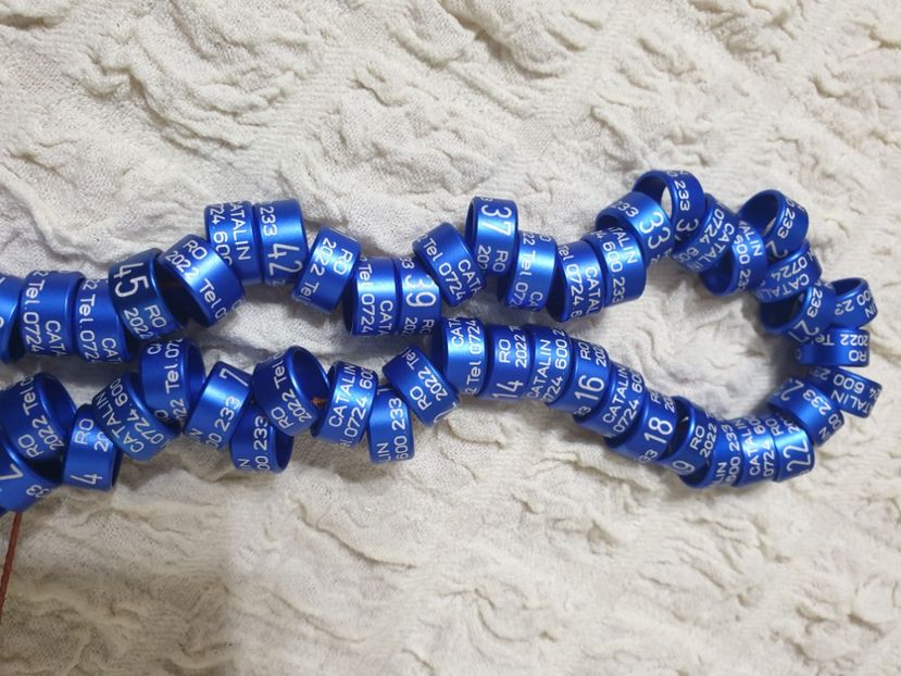  - 1-A-INELE PERSONALIZATE 2022