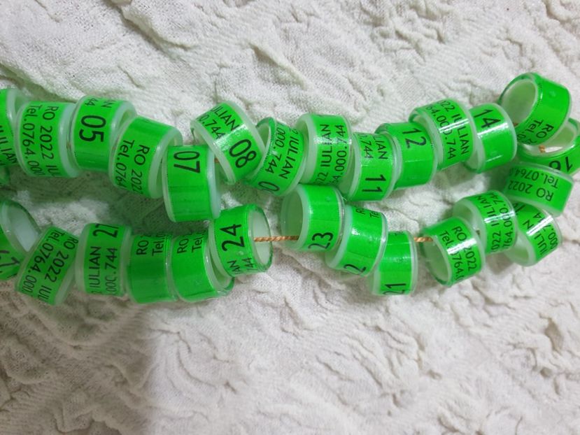  - 1-A-INELE PERSONALIZATE 2022