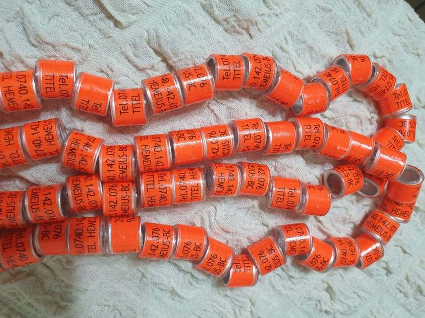  - 1-A-INELE PERSONALIZATE 2022