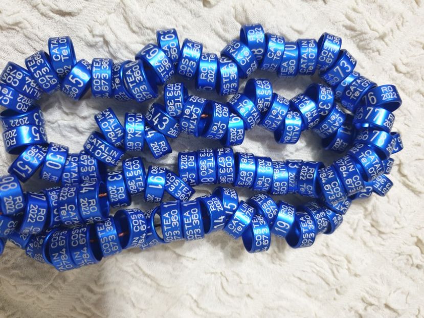  - 1-A-INELE PERSONALIZATE 2022