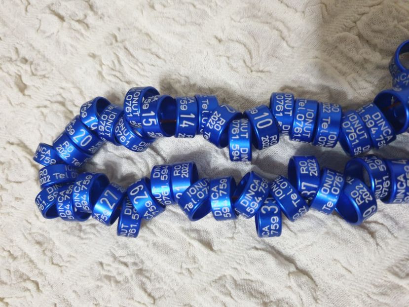  - 1-A-INELE PERSONALIZATE 2022