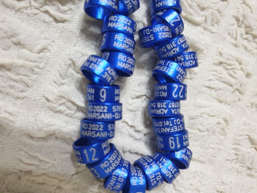  - 1-A-INELE PERSONALIZATE 2022