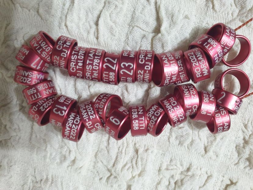  - 1-A-INELE PERSONALIZATE 2022