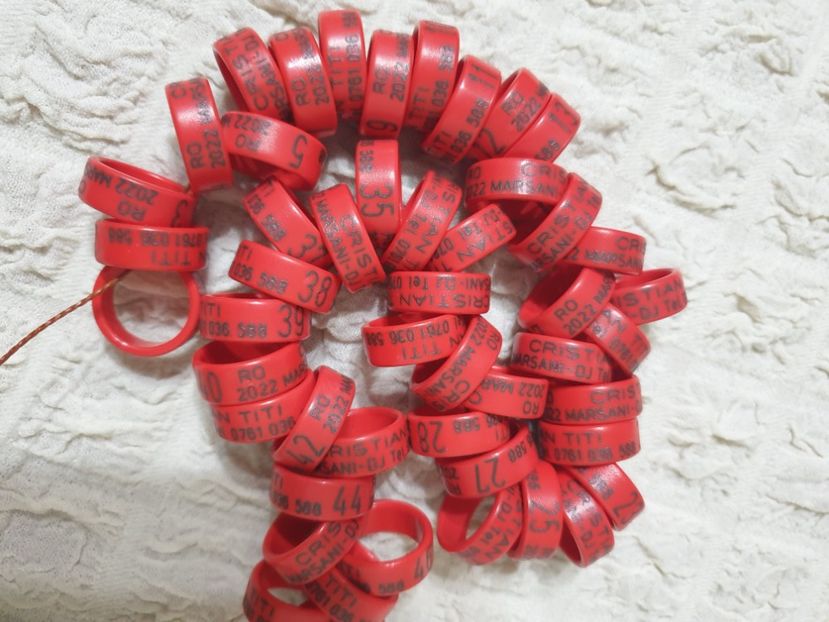  - 1-A-INELE PERSONALIZATE 2022