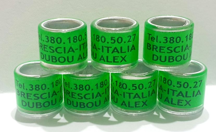  - 1-A-INELE PERSONALIZATE 2022