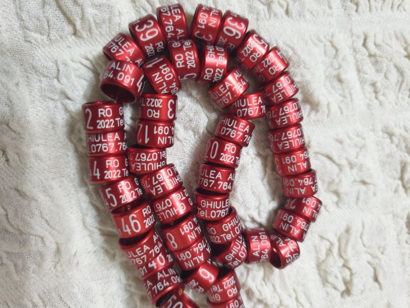  - 1-A-INELE PERSONALIZATE 2022