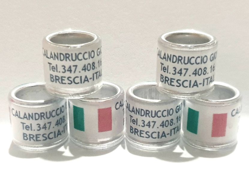  - 1-A-INELE PERSONALIZATE 2022