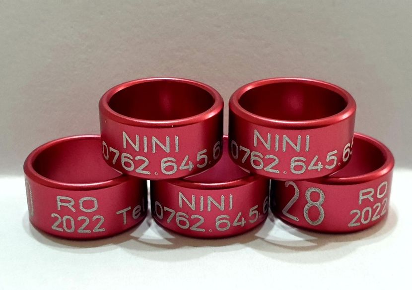  - 1-A-INELE PERSONALIZATE 2022