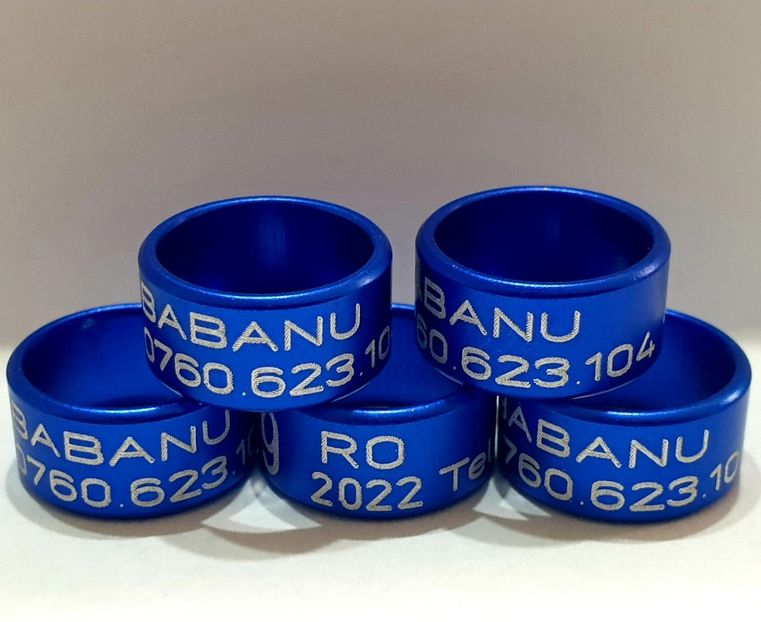  - 1-A-INELE PERSONALIZATE 2022