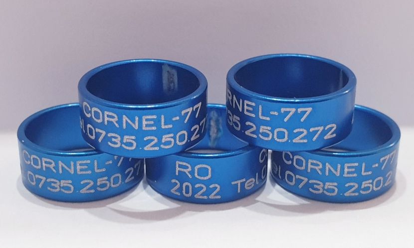  - 1-A-INELE PERSONALIZATE 2022