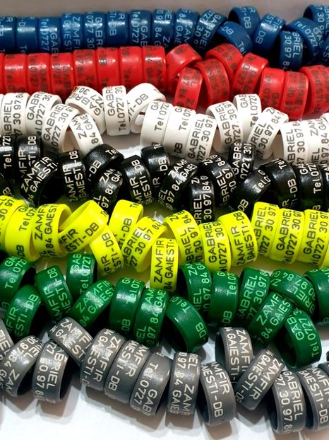  - 1-A-INELE PERSONALIZATE 2022